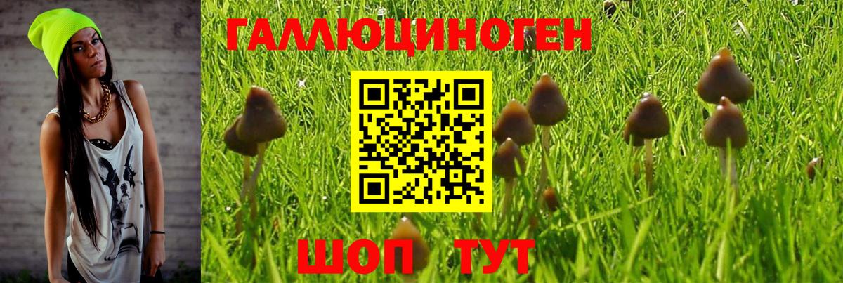 Псилоцибиновые грибы мицелий Апатиты