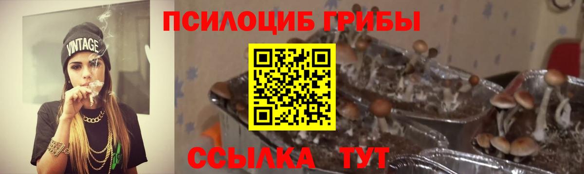 Апатиты  Галлюциногенные грибы Magic Shrooms  Вход с VPN  Псилоцибиновые грибы мицелий 